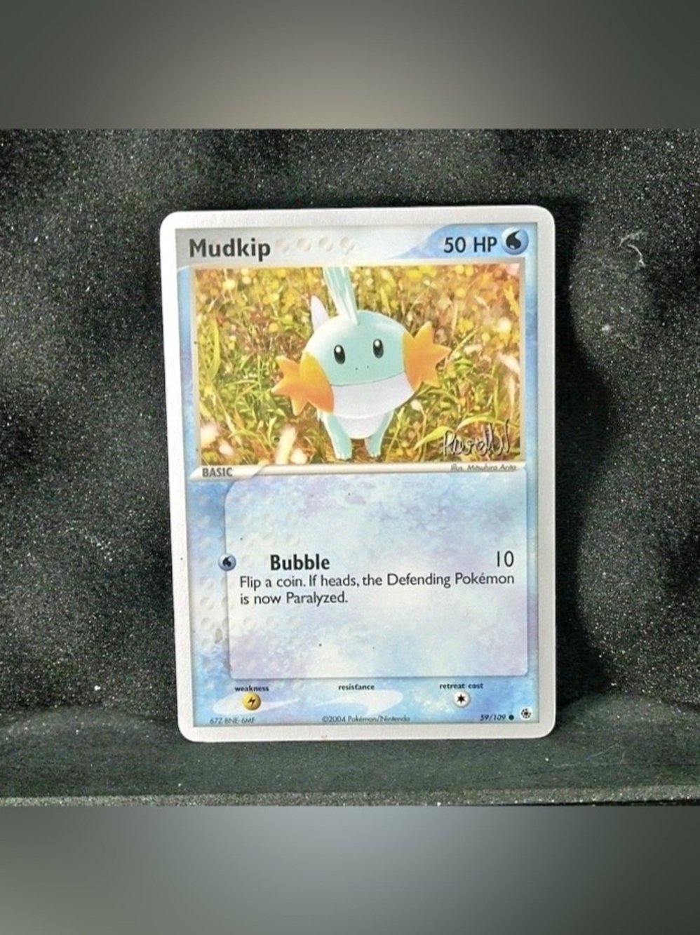 Pokémon Mudkip - 2004 World Championship Decks (Reed Weichler / Rocky Beach)